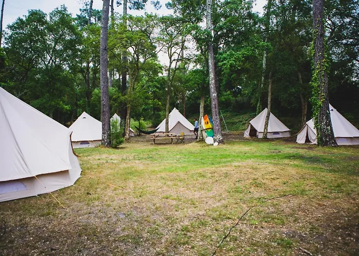 Wolfcamp Surf Moliets