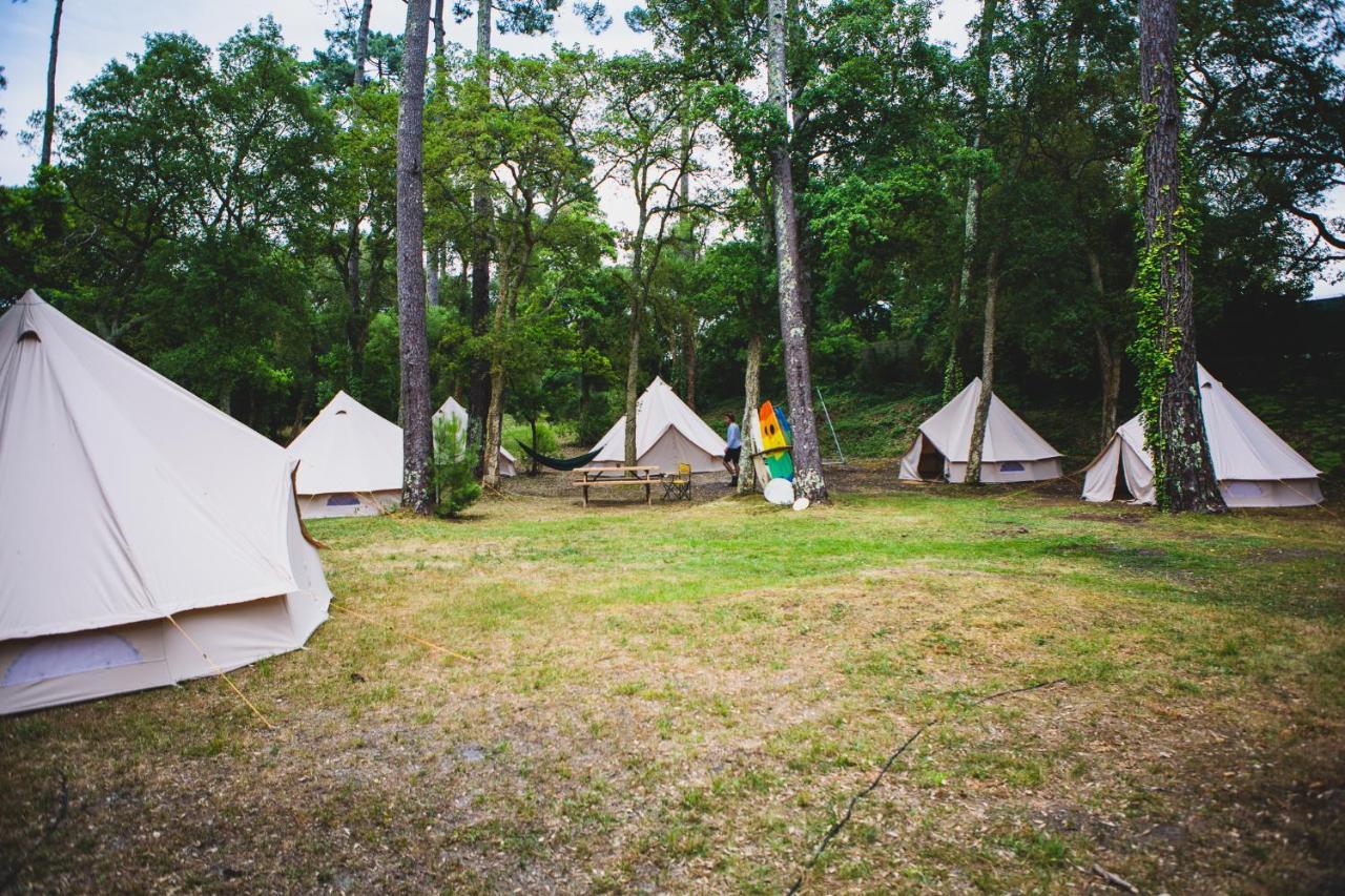 Wolfcamp Surf Moliets-et-Maa