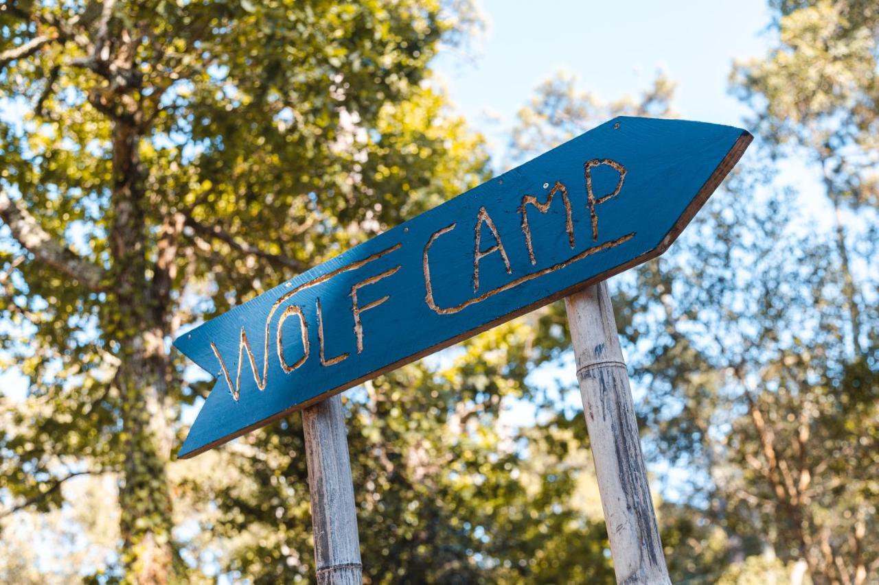 Wolfcamp Surf *