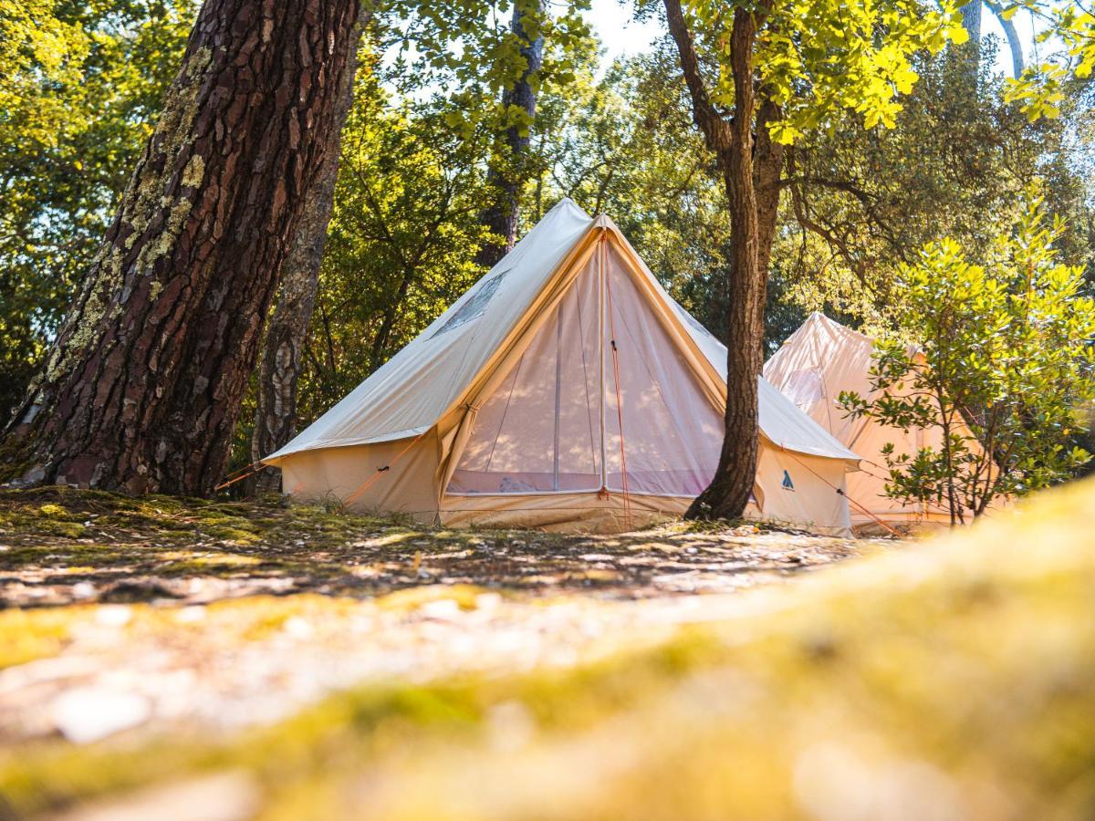 Wolfcamp Surf Campsite