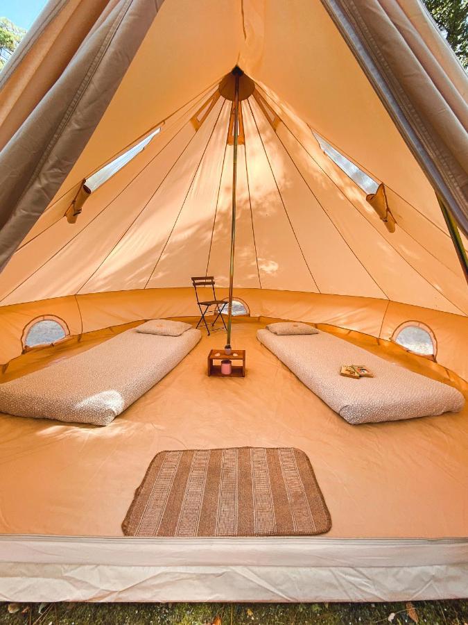 Wolfcamp Surf Moliets-et-Maa